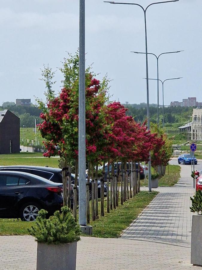 Apartamentai Ragaines Self Chec-In Free Parking Klaipėda Buitenkant foto